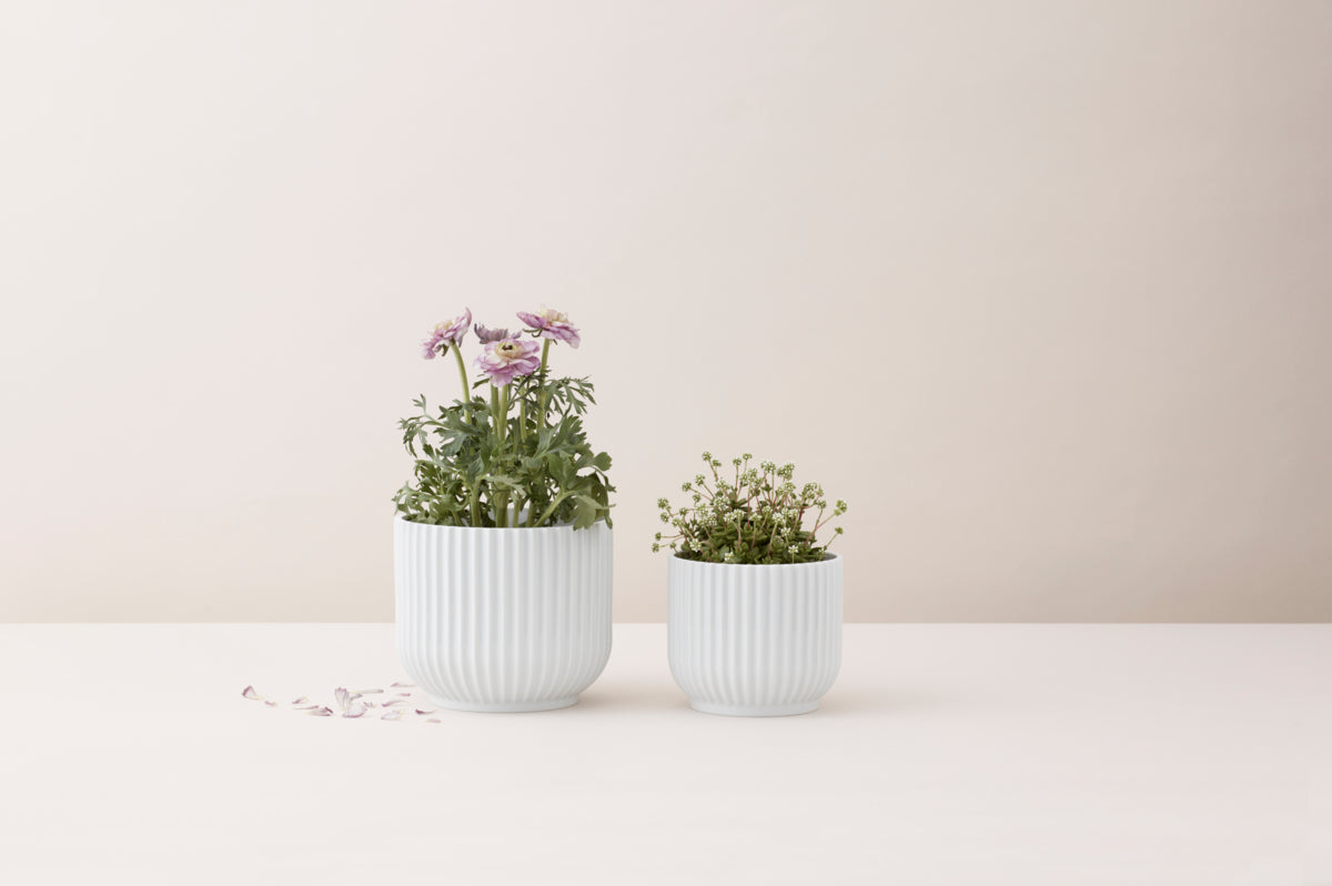 Flower Pot, White