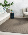 Jaipur Nirvana Premium Iver Solid Stripes Gray Taupe NIP04 Rug