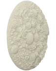 Phillips Collection Coral Reef Wall Art - Round