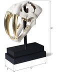 Phillips Collection Saber Tooth Tiger Skull Sculpture, Roman Stone