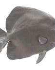 Phillips Collection Australian Bat Fish Wall Sculpture